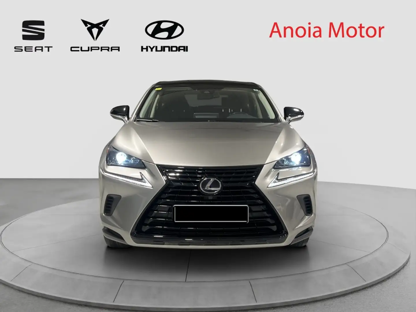 Lexus NX 300 300h Sport Edition 2WD Grau - 2