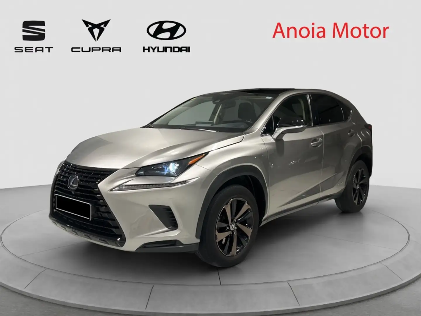 Lexus NX 300 300h Sport Edition 2WD Grau - 1