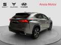 Lexus NX 300 300h Sport Edition 2WD Grau - thumbnail 6