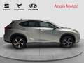 Lexus NX 300 300h Sport Edition 2WD Grau - thumbnail 7