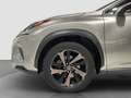 Lexus NX 300 300h Sport Edition 2WD Grau - thumbnail 9