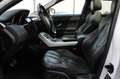 Land Rover Range Rover Evoque 2.2 TD4 4WD Prestige Pano !! Blanc - thumbnail 4