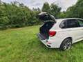 BMW X5 M X5 M50d Aut. Bianco - thumbnail 6