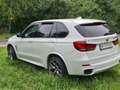 BMW X5 M X5 M50d Aut. Bianco - thumbnail 5