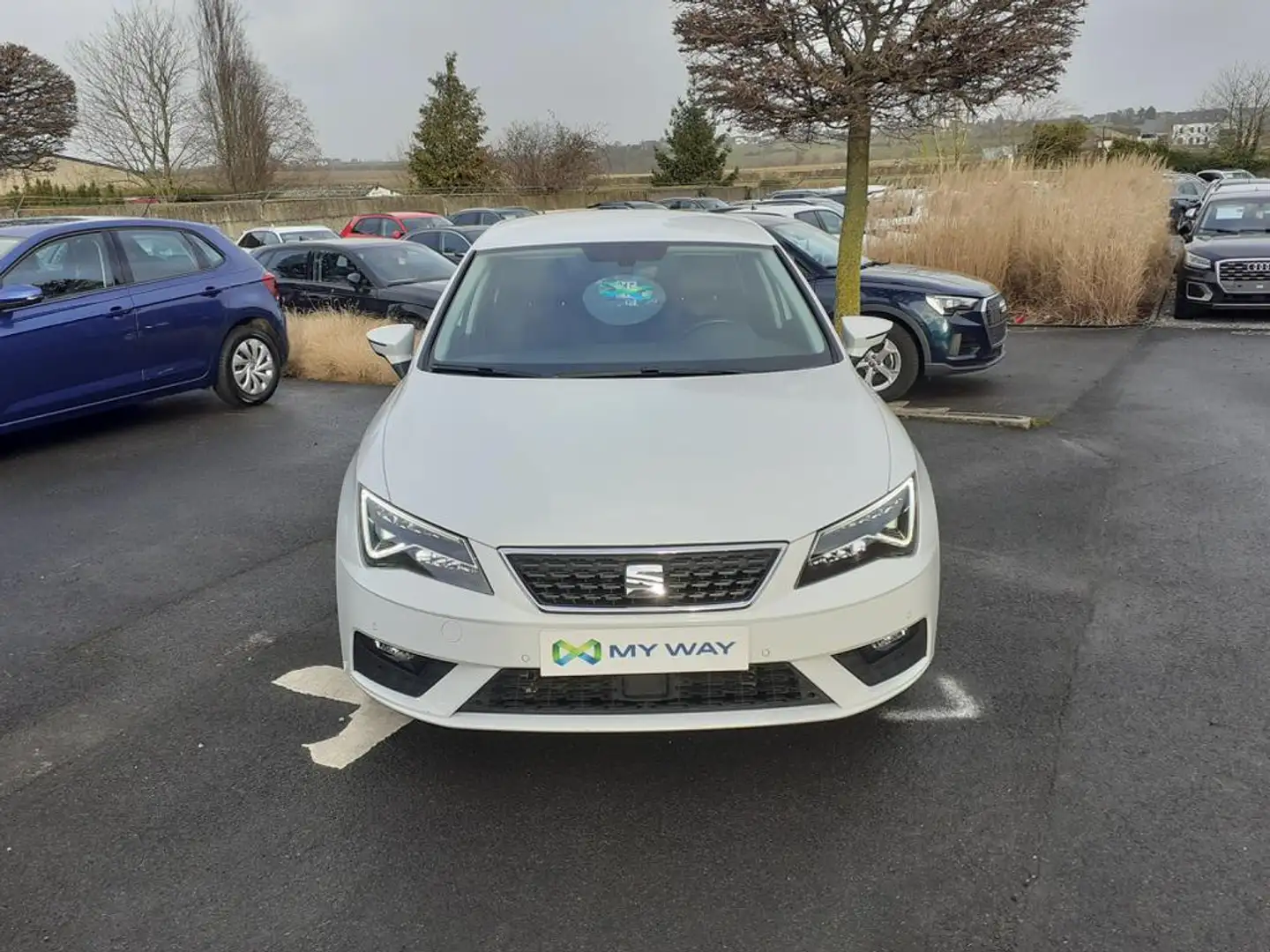 SEAT Leon 1.5 CNG STYLE 5d 96 MB1 M6 Blanc - 2
