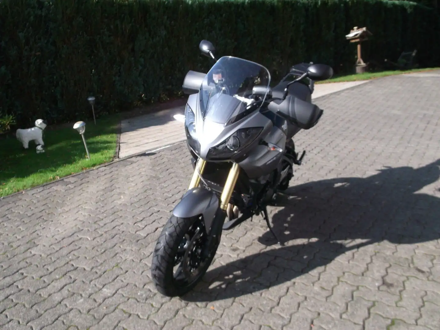 Triumph Tiger 1050 Černá - 1