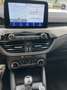 Ford Kuga TITANIUM OC0426 *29377* Weiß - thumbnail 12