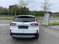 Ford Kuga TITANIUM OC0426 *29377* Weiß - thumbnail 6