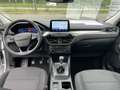 Ford Kuga TITANIUM OC0426 *29377* Weiß - thumbnail 10