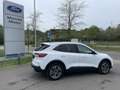 Ford Kuga TITANIUM OC0426 *29377* Weiß - thumbnail 2