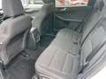 Ford Kuga TITANIUM OC0426 *29377* Weiß - thumbnail 11