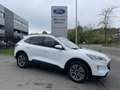 Ford Kuga TITANIUM OC0426 *29377* Weiß - thumbnail 3