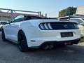 Ford Mustang GT Convertible 5.0 V8 2027 FORD GARANTIE Weiß - thumbnail 10