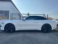 Ford Mustang GT Convertible 5.0 V8 2027 FORD GARANTIE Weiß - thumbnail 5