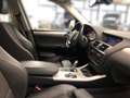 BMW X3 X3 xDrive20d Black - thumbnail 12