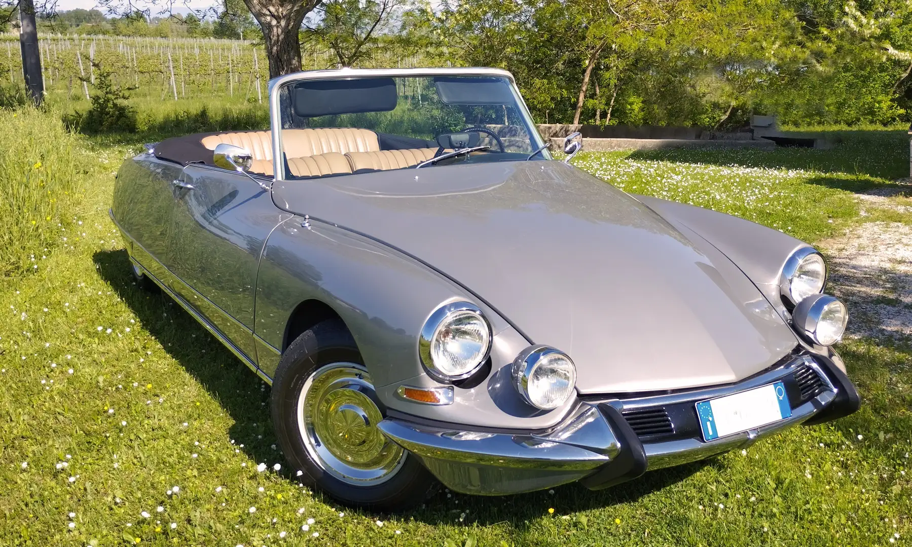 Citroen DS 21 Cabriolet Gümüş rengi - 1
