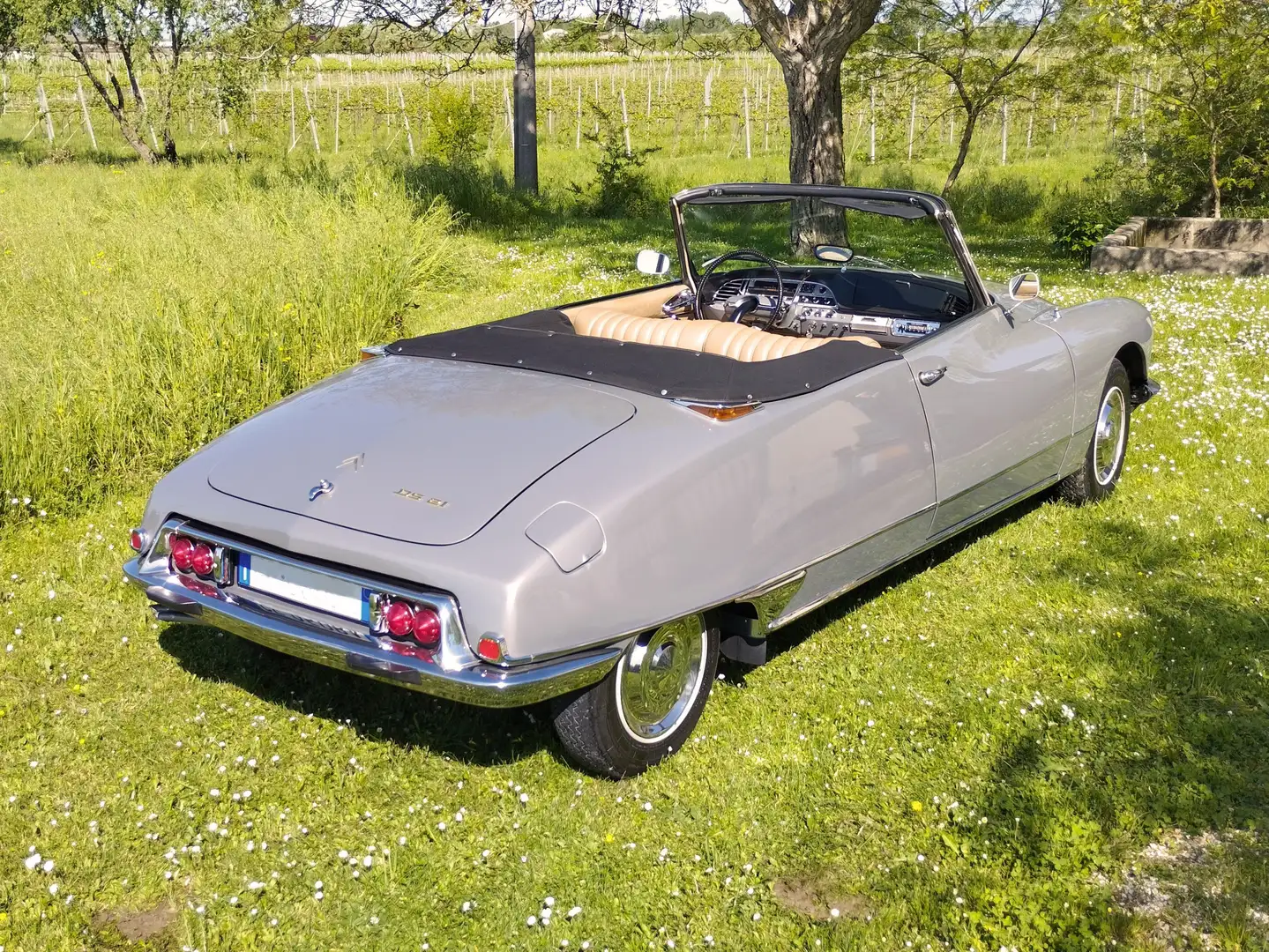 Citroen DS 21 Cabriolet Gümüş rengi - 2