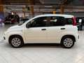 Fiat Panda 1.2 Pop|Klima|Isofix|5 Türer|weiß/&rot| White - thumbnail 3
