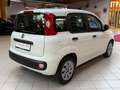 Fiat Panda 1.2 Pop|Klima|Isofix|5 Türer|weiß/&rot| White - thumbnail 6
