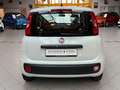 Fiat Panda 1.2 Pop|Klima|Isofix|5 Türer|weiß/&rot| White - thumbnail 5