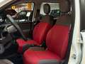 Fiat Panda 1.2 Pop|Klima|Isofix|5 Türer|weiß/&rot| White - thumbnail 11