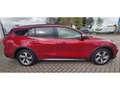 Ford Focus Active X OC2523 Rouge - thumbnail 4