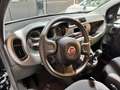 Fiat Panda Cross 1.0 FireFly S&S Hybrid City Cross Nero - thumbnail 5