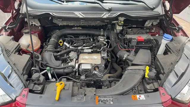 Ford Ecosport view 15