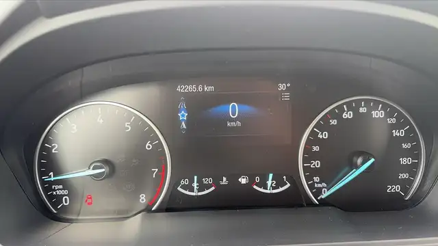 Ford Ecosport view 12