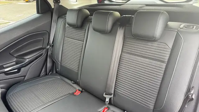 Ford Ecosport view 9