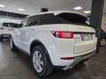 Land Rover Range Rover Evoque RR Evoque 2.0 TD4 150 CV 5p. HSE Dynamic Blanc - thumbnail 8