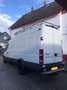 Iveco Daily 65 C 18 DPF Weiß - thumbnail 3