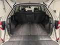 Renault Koleos 4x4 Für Gewerbe, Ex-/Import Alb - thumbnail 7