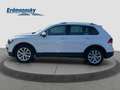 Volkswagen Tiguan Comfortline DSG/Leder/Standhz/ACC/Kam/18Z Klima Blanc - thumbnail 5