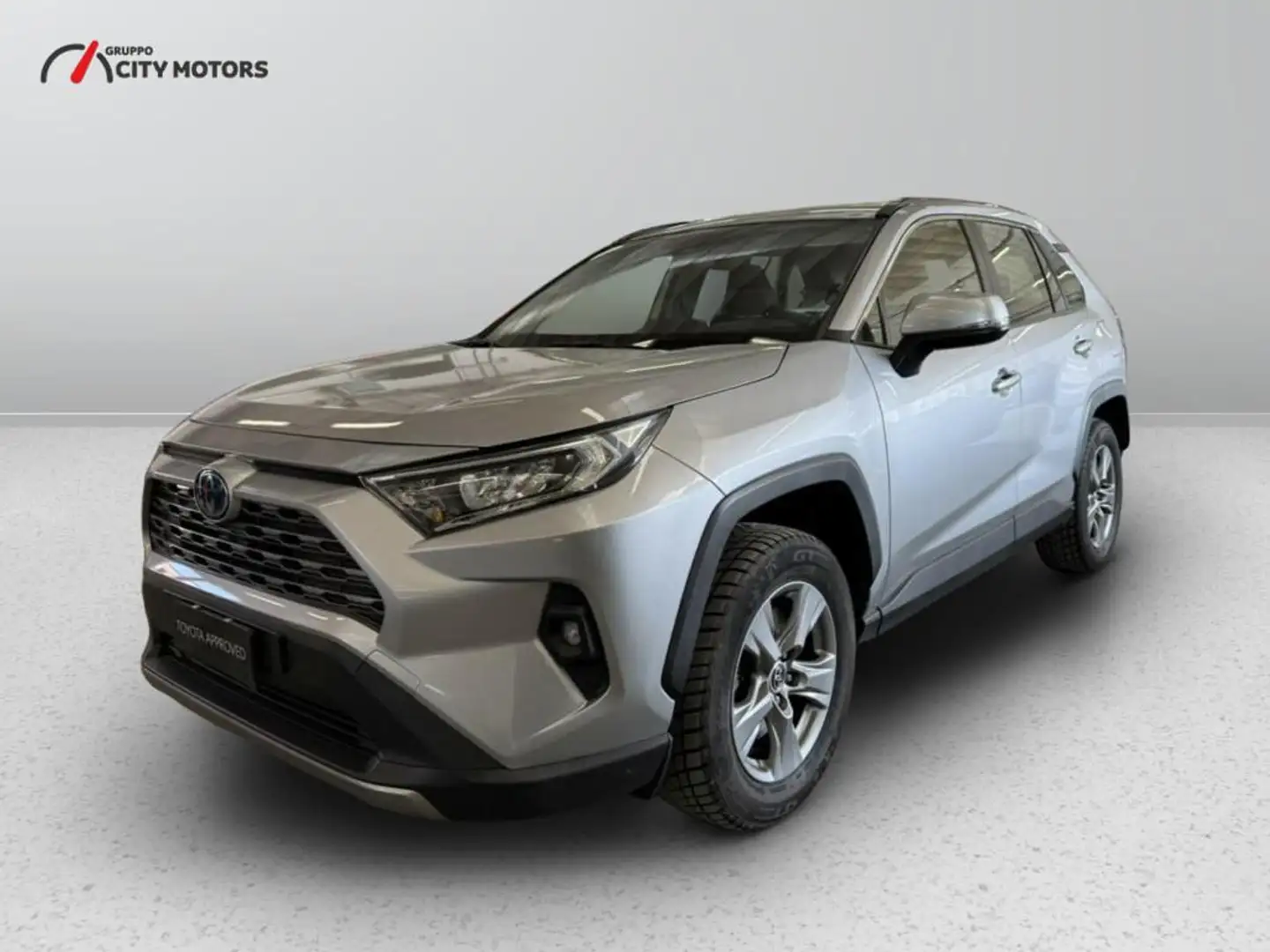 Toyota RAV 4 2.5 vvt-ie hybrid Business 2wd e-cvt my19 Argento - 1