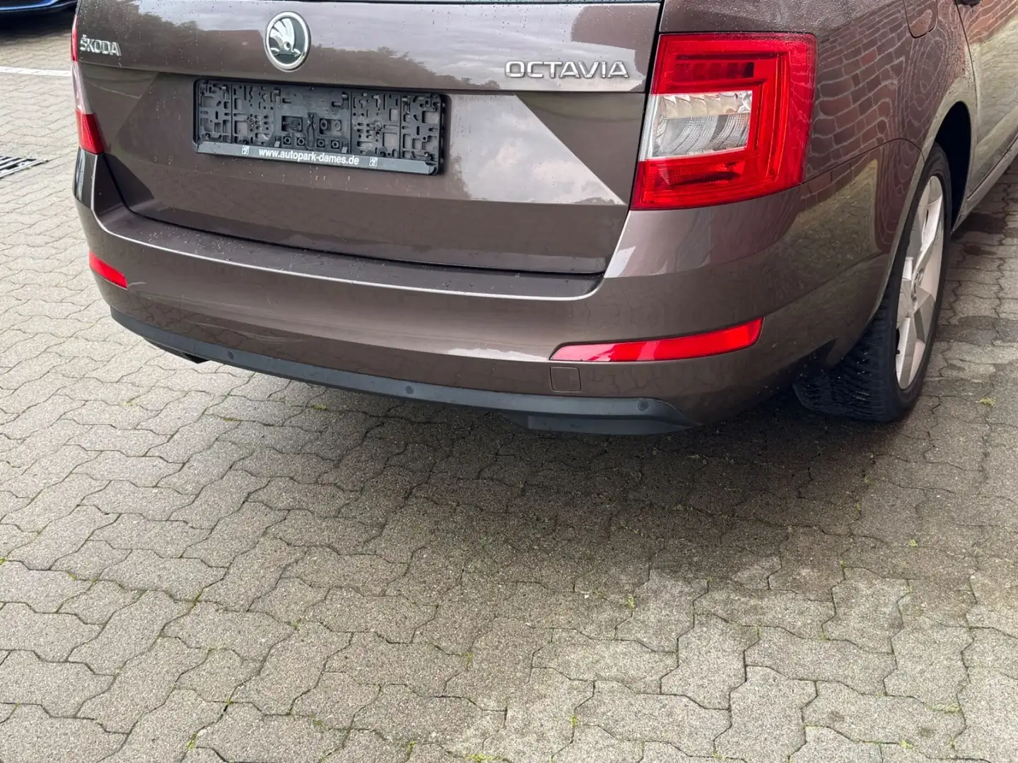 Skoda Octavia 1.2 TSI Green Active Klimaautomatik Braun - 2
