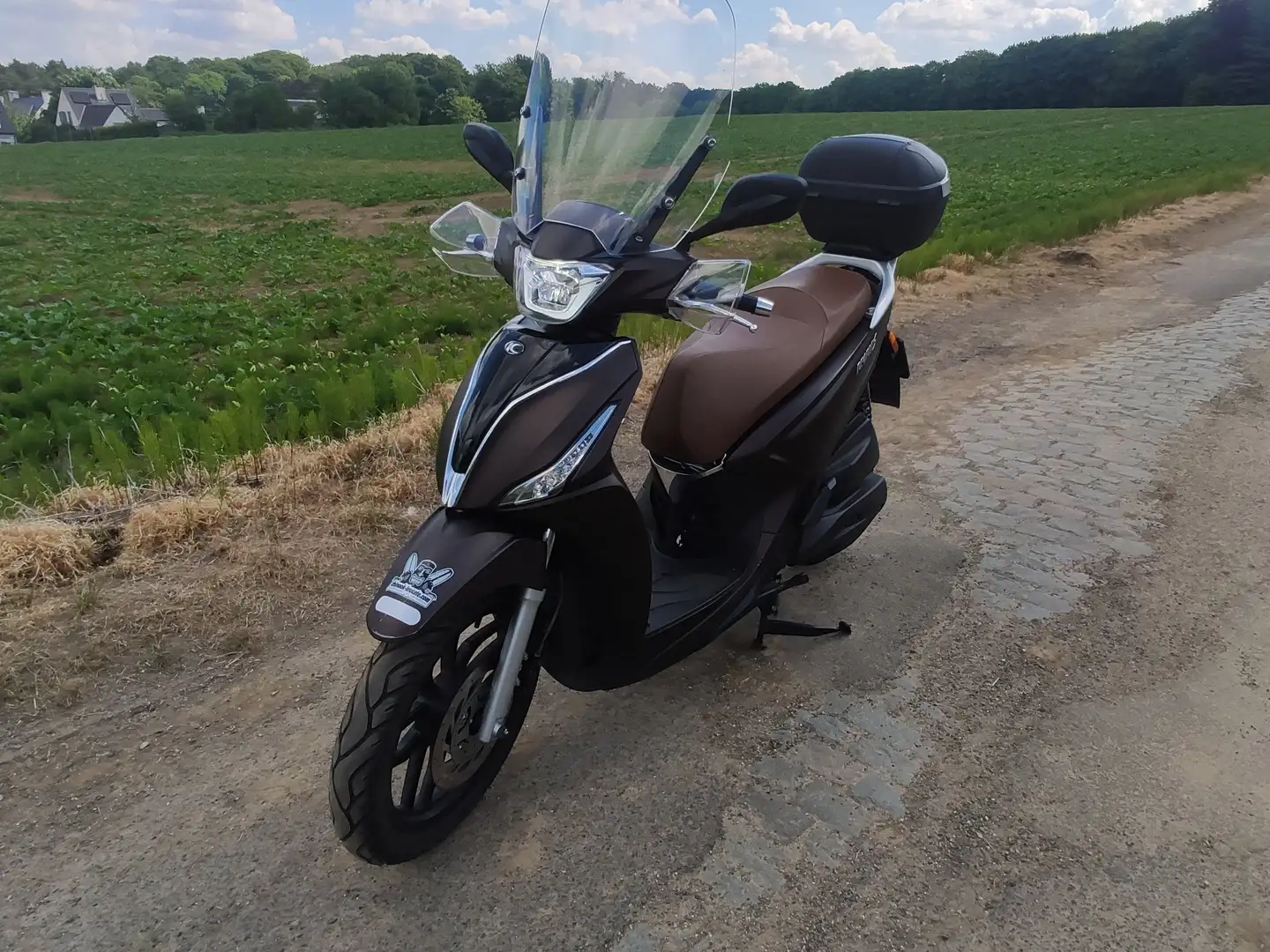 Kymco People S 125 Marrón - 1