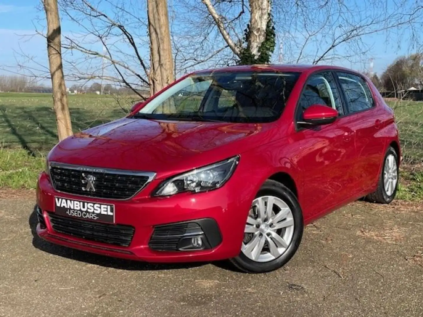 Peugeot 308 Active Red - 1