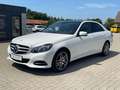 Mercedes-Benz E 350 CDI 4Matic Avantgarde AHK AMG Kindersitze Weiß - thumbnail 2