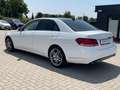 Mercedes-Benz E 350 CDI 4Matic Avantgarde AHK AMG Kindersitze Weiß - thumbnail 8