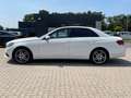 Mercedes-Benz E 350 CDI 4Matic Avantgarde AHK AMG Kindersitze Weiß - thumbnail 9