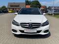 Mercedes-Benz E 350 CDI 4Matic Avantgarde AHK AMG Kindersitze Weiß - thumbnail 3