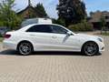 Mercedes-Benz E 350 CDI 4Matic Avantgarde AHK AMG Kindersitze Weiß - thumbnail 5