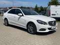 Mercedes-Benz E 350 CDI 4Matic Avantgarde AHK AMG Kindersitze Weiß - thumbnail 4