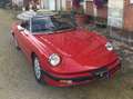 Alfa Romeo Quadrifoglio Spider 2000 Rouge - thumbnail 2