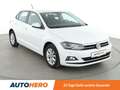 Volkswagen Polo 1.0 TSI Highline *PDC*SHZ*KLIMA* Weiß - thumbnail 8