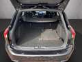 Ford Focus Turnier 1.0 EB ST-Line X*Pano*LED*RFK*B&O Schwarz - thumbnail 10