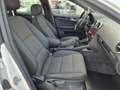 Audi A3 SB Ambiente 1,6 TDI DPF Weiß - thumbnail 11