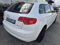 Audi A3 SB Ambiente 1,6 TDI DPF Weiß - thumbnail 7