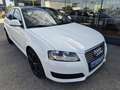 Audi A3 SB Ambiente 1,6 TDI DPF Weiß - thumbnail 4